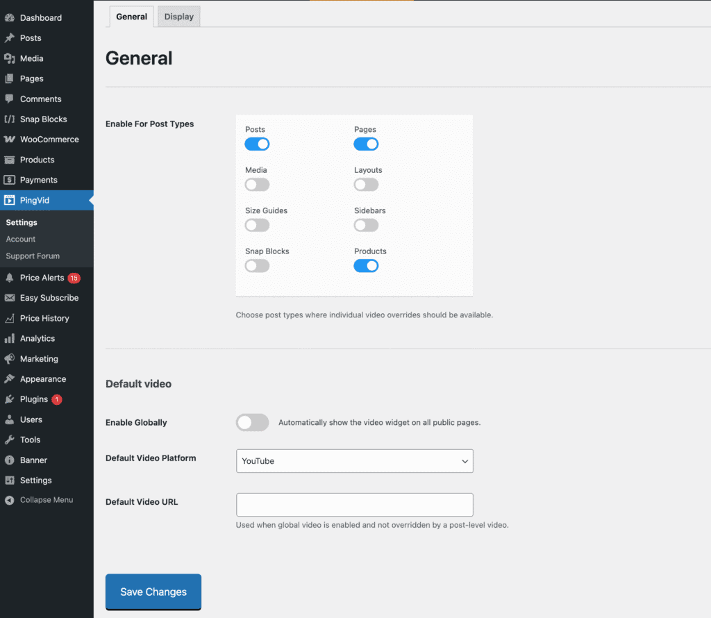 PingVid general settings